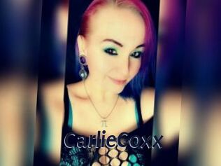 CarlieCoxx
