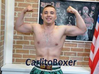 CarlitoBoxer