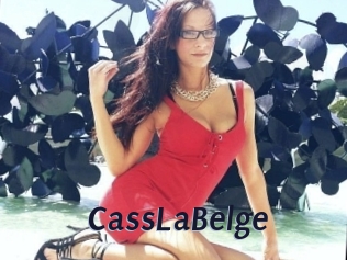 CassEnceinte Site Cul