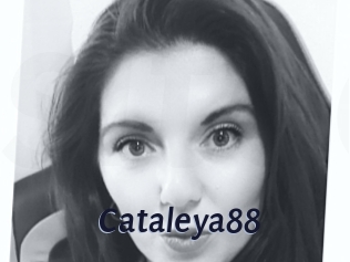 Cataleya88