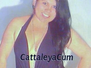 CattaleyaCum