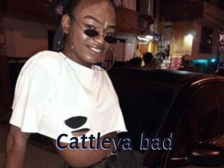 Cattleya_bad