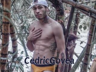 CedricGovea