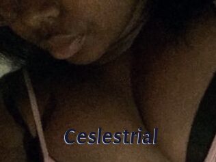 Ceslestrial