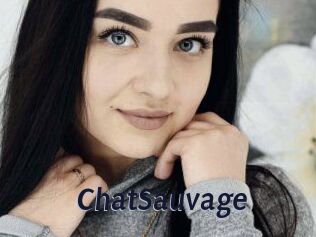 ChatSauvage
