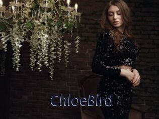 ChloeBird