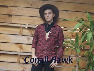Conall_Hawk