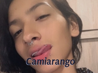 camiarango Site Cul