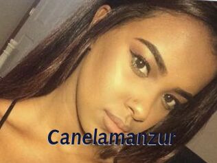 Canelamanzur