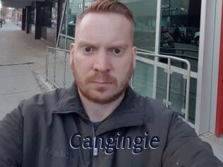 Cangingie