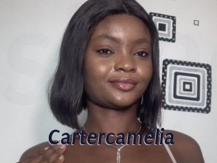 Cartercamelia