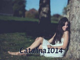 Catalina1014