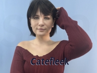 Catefleek