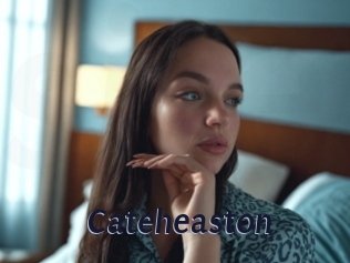 Cateheaston