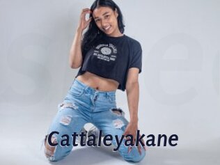 Cattaleyakane