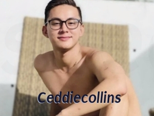 Ceddiecollins