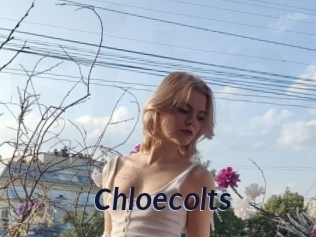 Chloecolts