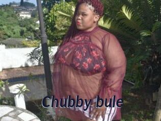 Chubby_bule
