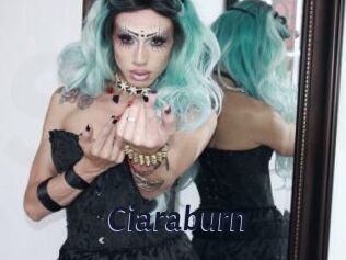 ciaraburn Site Cul
