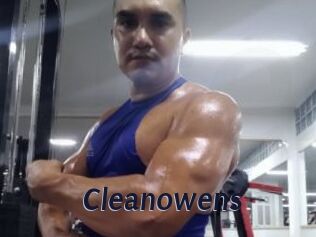 cleanowens Site Cul