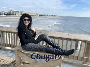 Cougarv