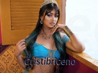cristibriceno Site Cul