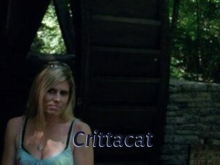 Crittacat