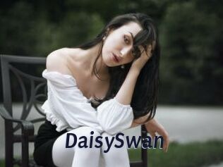 DaisySwan