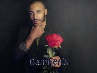 DamFenix