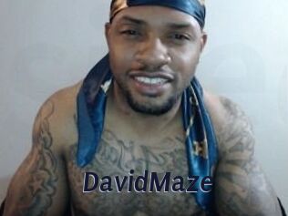 David_Maze