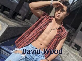 David_Wood