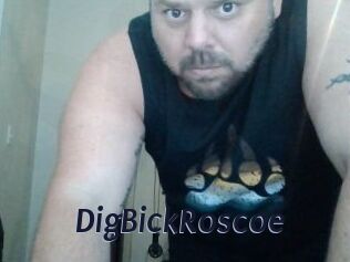 DigBickRoscoe