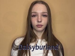 Daisyburland