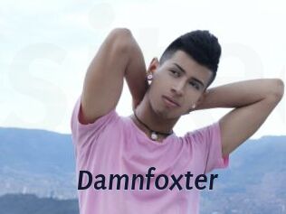 Damnfoxter