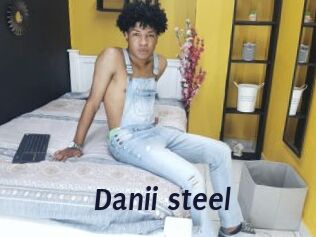 Danii_steel