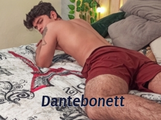dantebonett Site Cul