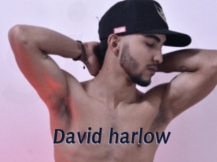 david_harlow Site Cul