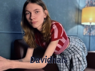 davidhals Site Cul