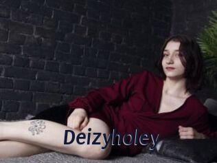 Deizyholey