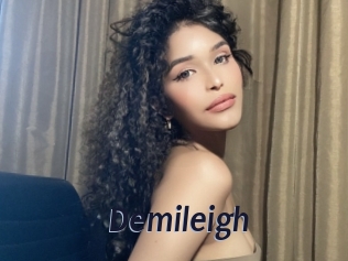 demileigh Site Cul