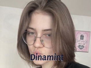 Dinamint