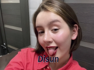 disun Site Cul