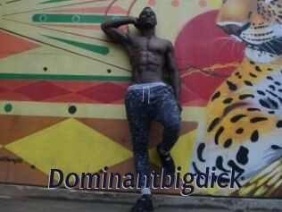 Dominantbigdick