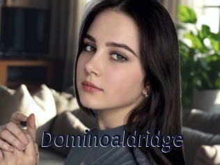 Dominoaldridge