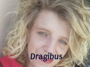Dragibus
