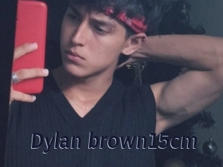 Dylan_brown15cm
