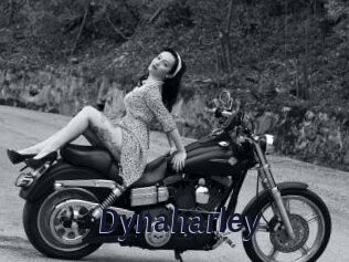 Dynaharley