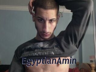 EgyptianAmin