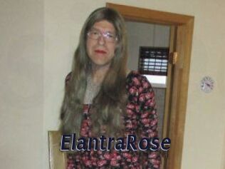 Elantra_Rose