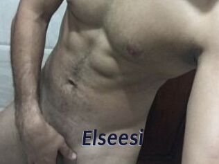 Elseesi